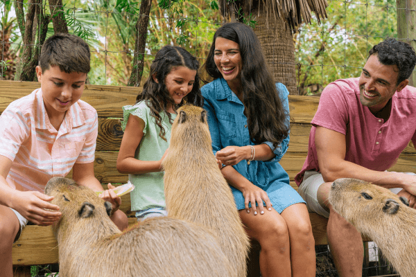 A family interacts with capybaras in an animal encounter at Wild Florida. 