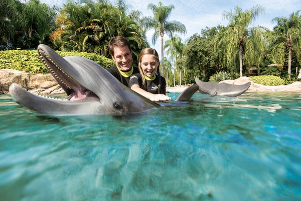 A man and a girl in wetsuits pet a smiling dolphin in the incredible dolphin swim animal experience at Discovery Cove in Orlando.