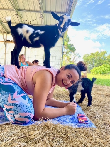 A goat stands on the back of a smiling young woman doing yoga outdoors. 