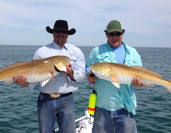 Saltwater Fishing with Fineline Fishing Charters