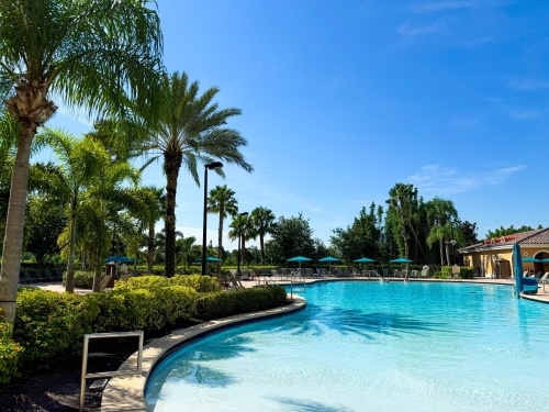 A beautiful pool surrounded with palm trees and tropical foliage. 