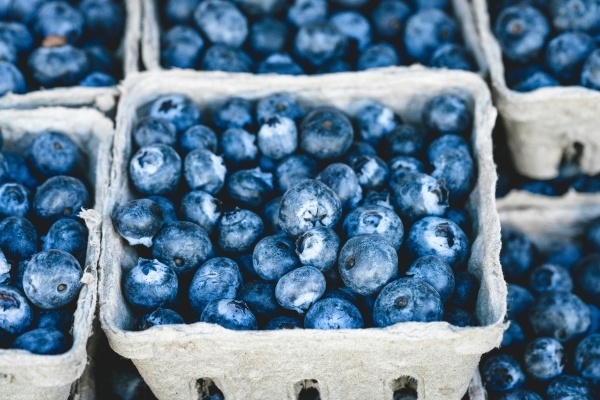 A close-up of cardboard containers of ripe blueberries. 